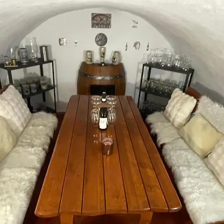 U Synagogy Apartment Dobris