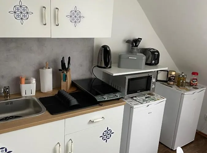 Apartment U Synagogy Dobris