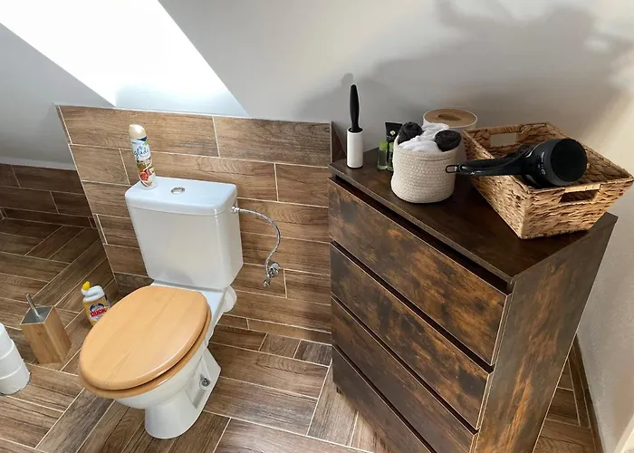 U Synagogy Apartment Dobris